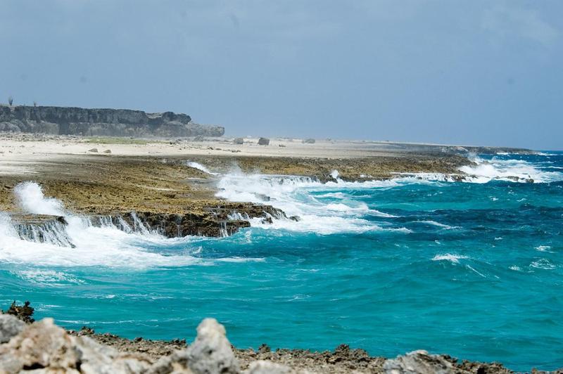 شقة Woodz Bonaire كراليندايك المظهر الخارجي الصورة
