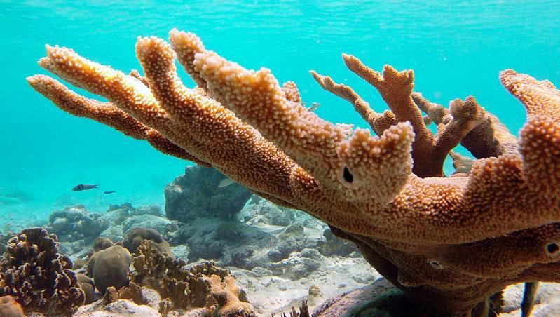شقة Woodz Bonaire كراليندايك المظهر الخارجي الصورة
